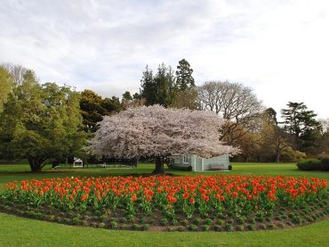 Christchurch Botanic Gardens